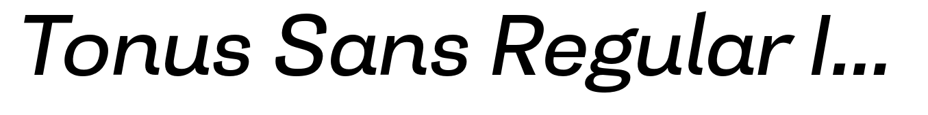 Tonus Sans Regular Italic